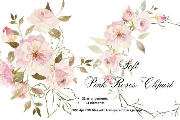 Download Soft Pink Roses Watercolor Clipart PNG - Premium Resources