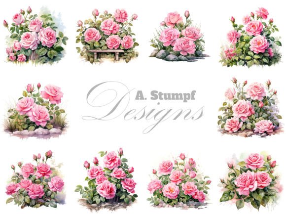 Download Pink Roses Clipart Set Watercolor Flower - Premium Resources