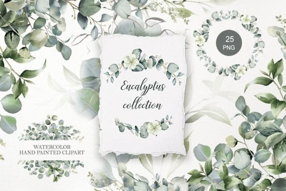 Download Eucalyptus Clipart. Watercolor Greenery - Greenery Collection