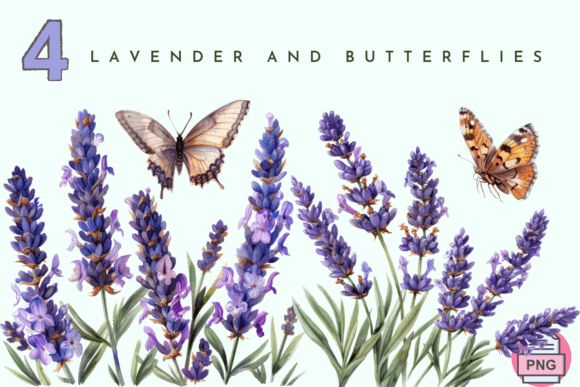 Download Lavender Flower, Watercolor Butterfly - Lavender flower Collection