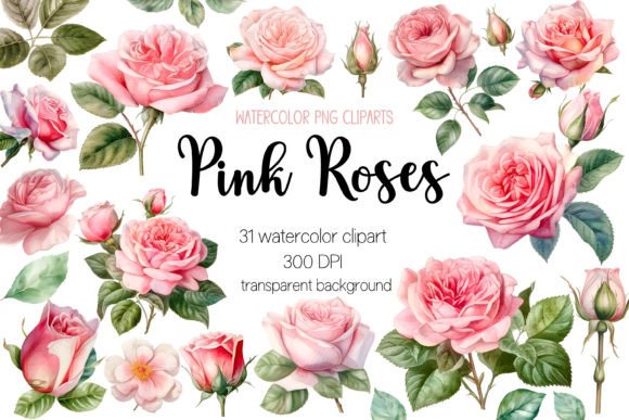 Download Pink Roses Watercolor Clipart Bundle - Premium Resources