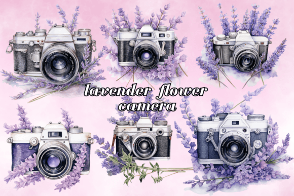 Download Lavender Flower Camera - Lavender flower Collection