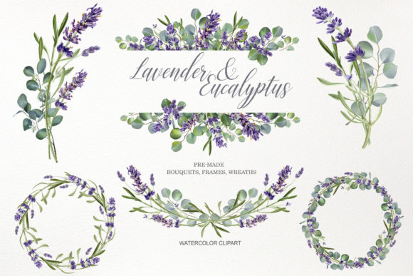 Download Watercolor Eucalyptus &amp; Lavender Flower - Lavender flower Collection